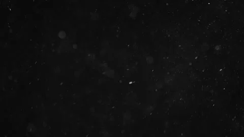 Natural Organic Dust Particles Float On Black Background. Dust In Motion. Stock Footage 246943746