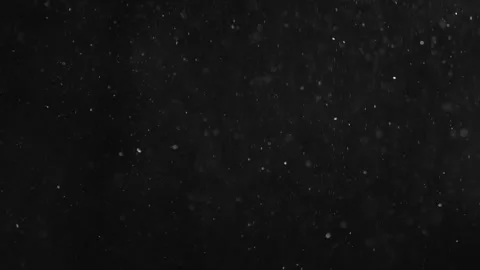 Natural Organic Dust Particles Float On Black Background. Dust In Motion. Stock Footage 246943785