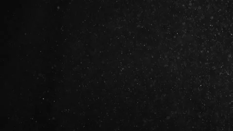 Natural Organic Dust Particles Float On Black Background. Dust In Motion. Stock Footage 246943786