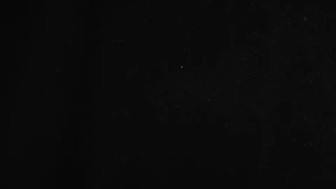 Natural Organic Dust Particles Float On Black Background. Dust In Motion. Stock Footage 246943789