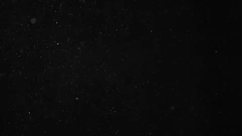 Natural Organic Dust Particles Float On Black Background. Dust In Motion. Stock Footage 246943793