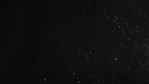 Natural Organic Dust Particles Float On Black Background. Dust In Motion. Stock Footage 246972592