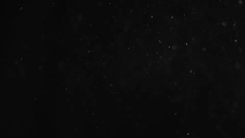 Natural Organic Dust Particles Float On Black Background. Dust In Motion. Stock Footage 246972629