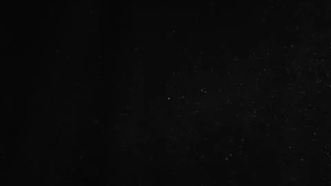 Natural Organic Dust Particles Float On Black Background. Dust In Motion. Stock Footage 246972639