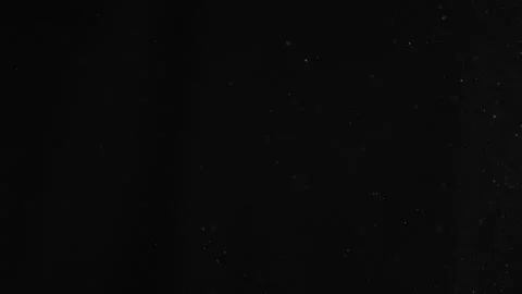 Natural Organic Dust Particles Float On Black Background. Dust In Motion. Stock Footage 246972642