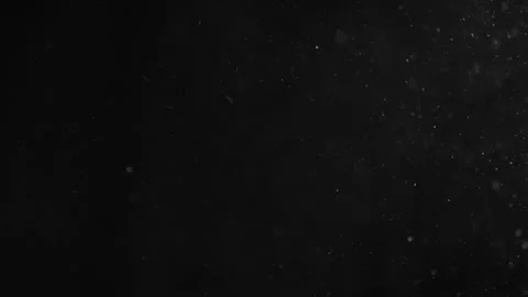 Natural Organic Dust Particles Float On Black Background. Dust In Motion. Stock Footage 246972661