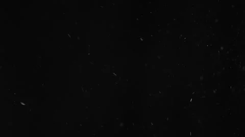 Natural Organic Dust Particles Float On Black Background. Dust In Motion. Stock Footage 246972665