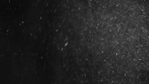 Natural Organic Dust Particles Float On Black Background. Dust In Motion. Stock Footage 246972727