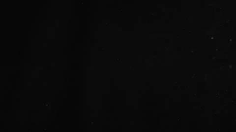Natural Organic Dust Particles Float On Black Background. Dust In Motion. Stock Footage 246972728