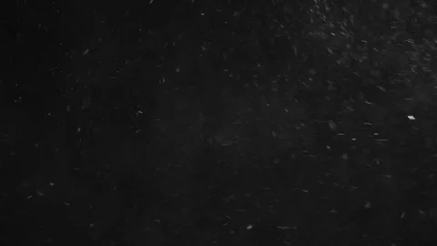 Natural Organic Dust Particles Float On Black Background. Dust In Motion. Stock Footage 246972747