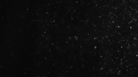 Natural Organic Dust Particles Float On Black Background. Dust In Motion. Stock Footage 246972770