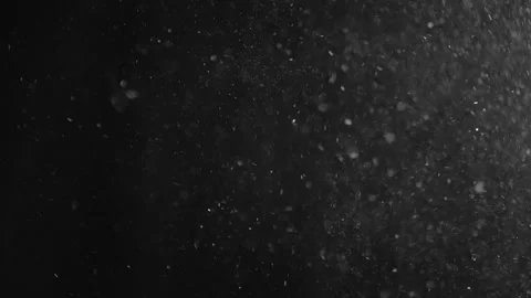 Natural Organic Dust Particles Float On Black Background. Dust In Motion. Stock Footage 246972792