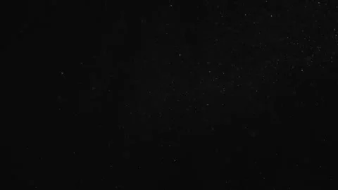 Natural Organic Dust Particles Float On Black Background. Dust In Motion. Stock Footage 246972807