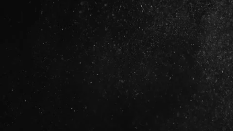 Natural Organic Dust Particles Float On Black Background. Dust In Motion. Stock Footage 246972816