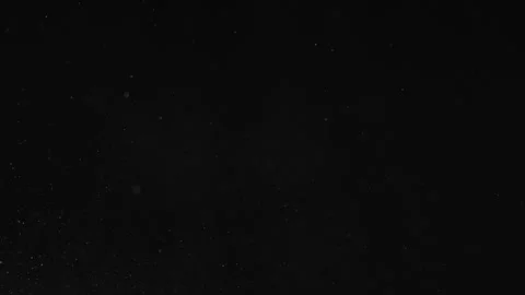Natural Organic Dust Particles Float On Black Background. Dust In Motion. Stock Footage 246972819