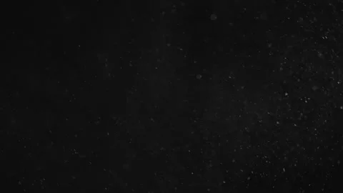 Natural Organic Dust Particles Float On Black Background. Dust In Motion. 库存影片 247318087