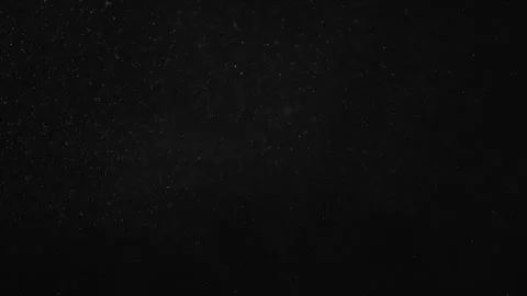 Natural Organic Dust Particles Float On Black Background. Dust In Motion. Vidéo 247318331