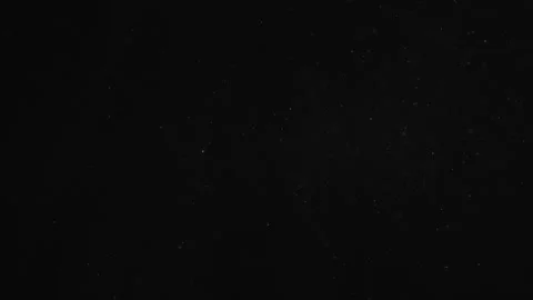 Natural Organic Dust Particles Float On Black Background. Dust In Motion. Vidéo 247318570