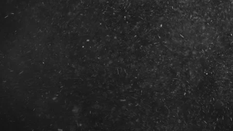 Natural Organic Dust Particles Float On Black Background. Dust In Motion. 库存影片 247318578