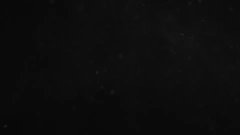 Natural Organic Dust Particles Float On Black Background. Dust In Motion. Stock Footage 247318623