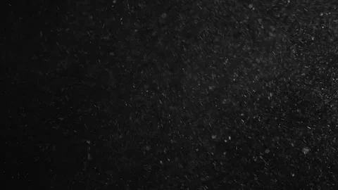 Natural Organic Dust Particles Float On Black Background. Dust In Motion. 库存影片 247318719