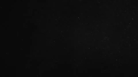 Natural Organic Dust Particles Float On Black Background. Dust In Motion. Stock Footage 247318756