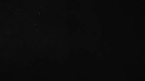 Natural Organic Dust Particles Float On Black Background. Dust In Motion. Stock Footage 247318762