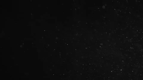 Natural Organic Dust Particles Float On Black Background. Dust In Motion. Stock Footage 247318785
