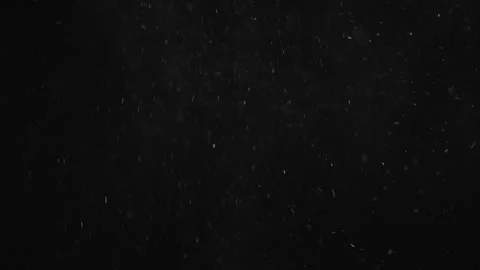 Natural Organic Dust Particles Float On Black Background. Dust In Motion. Stock Footage 247318799