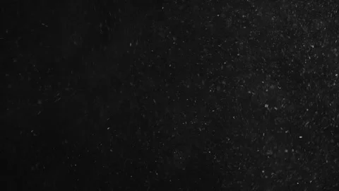 Natural Organic Dust Particles Float On Black Background. Dust In Motion. 库存影片 247318829