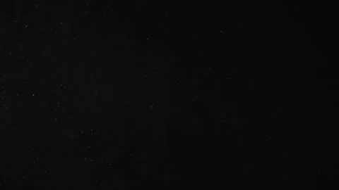 Natural Organic Dust Particles Float On Black Background. Dust In Motion. 库存影片 247318830