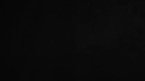 Natural Organic Dust Particles Float On Black Background. Dust In Motion. Stock Footage 247318925