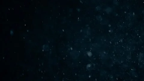 Natural Organic Dust Particles Float On Black Background. Dust In Motion. Vidéo 247558866