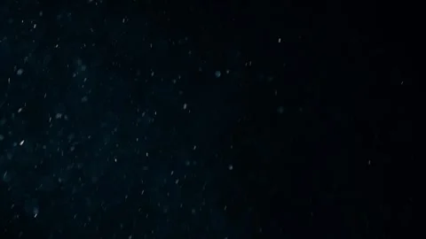 Natural Organic Dust Particles Float On Black Background. Dust In Motion. 库存影片 247558922