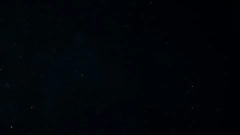 Natural Organic Dust Particles Float On Black Background. Dust In Motion. Stock Footage 247559052