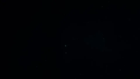 Natural Organic Dust Particles Float On Black Background. Dust In Motion. Vidéo 247559095