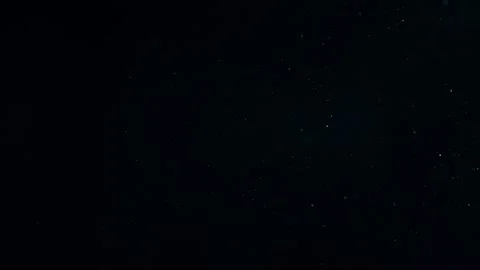 Natural Organic Dust Particles Float On Black Background. Dust In Motion. Stock Footage 247559144