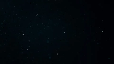 Natural Organic Dust Particles Float On Black Background. Dust In Motion. Stock Footage 247559215