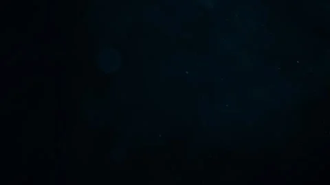 Natural Organic Dust Particles Float On Black Background. Dust In Motion. Stock Footage 247559276