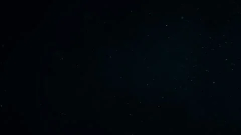 Natural Organic Dust Particles Float On Black Background. Dust In Motion. 库存影片 247559304