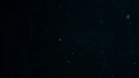 Natural Organic Dust Particles Float On Black Background. Dust In Motion. Stock Footage 247559359