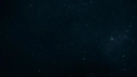 Natural Organic Dust Particles Float On Black Background. Dust In Motion. Stock Footage 247559430