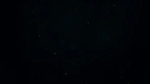 Natural Organic Dust Particles Float On Black Background. Dust In Motion. Stock Footage 247562278