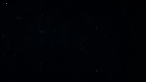 Natural Organic Dust Particles Float On Black Background. Dust In Motion. 库存影片 247562322