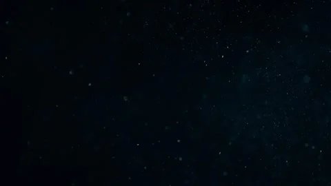 Natural Organic Dust Particles Float On Black Background. Dust In Motion. 库存影片 247562445