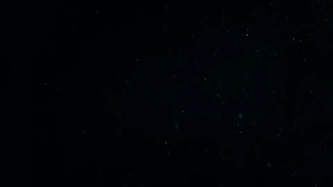 Natural Organic Dust Particles Float On Black Background. Dust In Motion. 库存影片 247562478