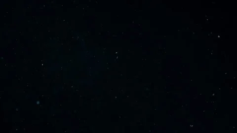 Natural Organic Dust Particles Float On Black Background. Dust In Motion. Vidéo 247562547