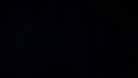 Natural Organic Dust Particles Float On Black Background. Dust In Motion. Stock Footage 247578812