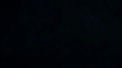 Natural Organic Dust Particles Float On Black Background. Dust In Motion. Vidéo 247578982