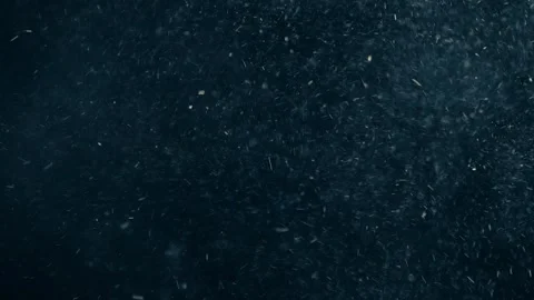 Natural Organic Dust Particles Float On Black Background. Dust In Motion. Stock Footage 247579005